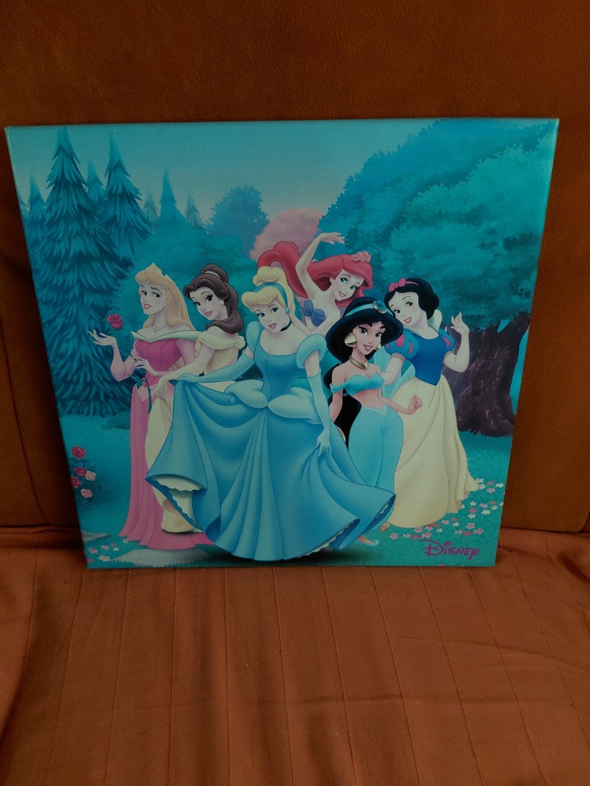 Canvas schilderij Disney Prinsessen, Ophalen, Minder dan 50 cm, Zo goed als nieuw, Schilderij