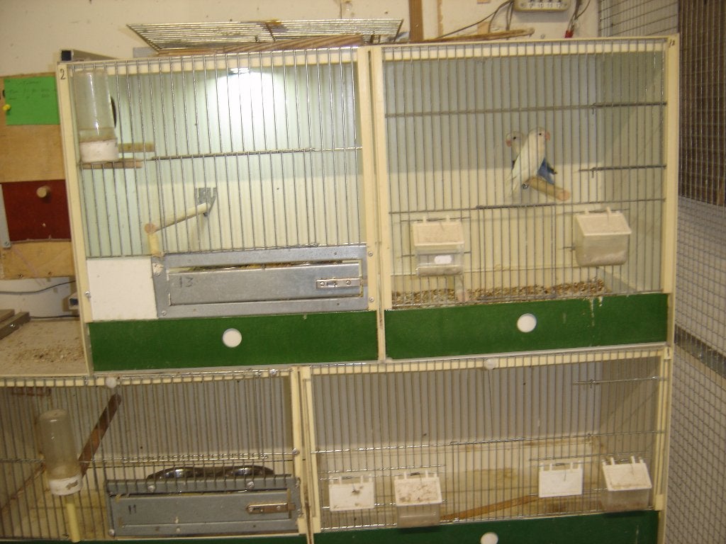 4 Broedkooien met Ledverlichting en draaiplateaus met bakjes, Ophalen, Zo goed als nieuw, Kunststof, Broedkooi of Kweekkooi