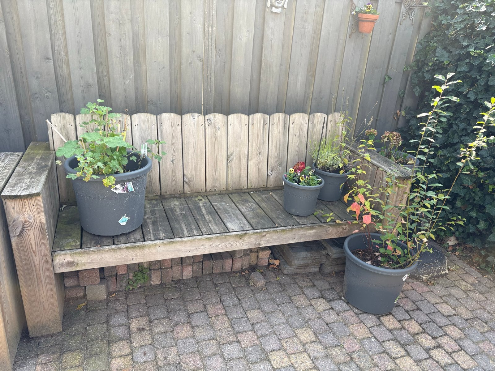 Houten tuinbank met 3 krukjes incl opmaat gemaakt kussen, Tuin en Terras, Ophalen, Gebruikt, Hout