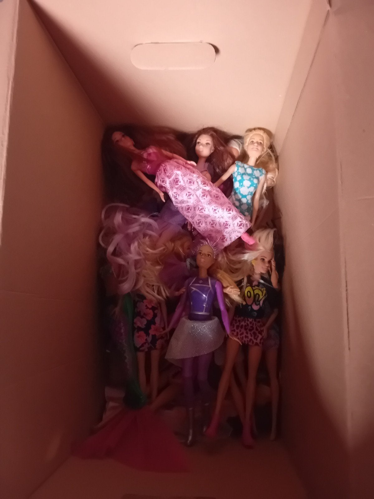 Barbie poppen en Barbie spullen, Ophalen of Verzenden, Nieuw, Barbie