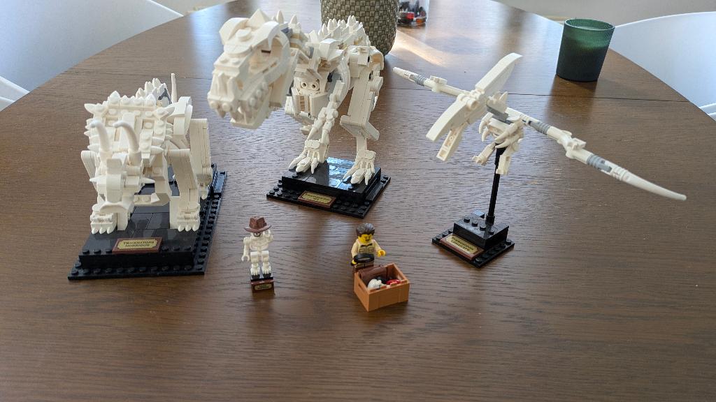 Lego Dinosaurusfossielen 21320, Ophalen, Gebruikt, Lego, Ideas