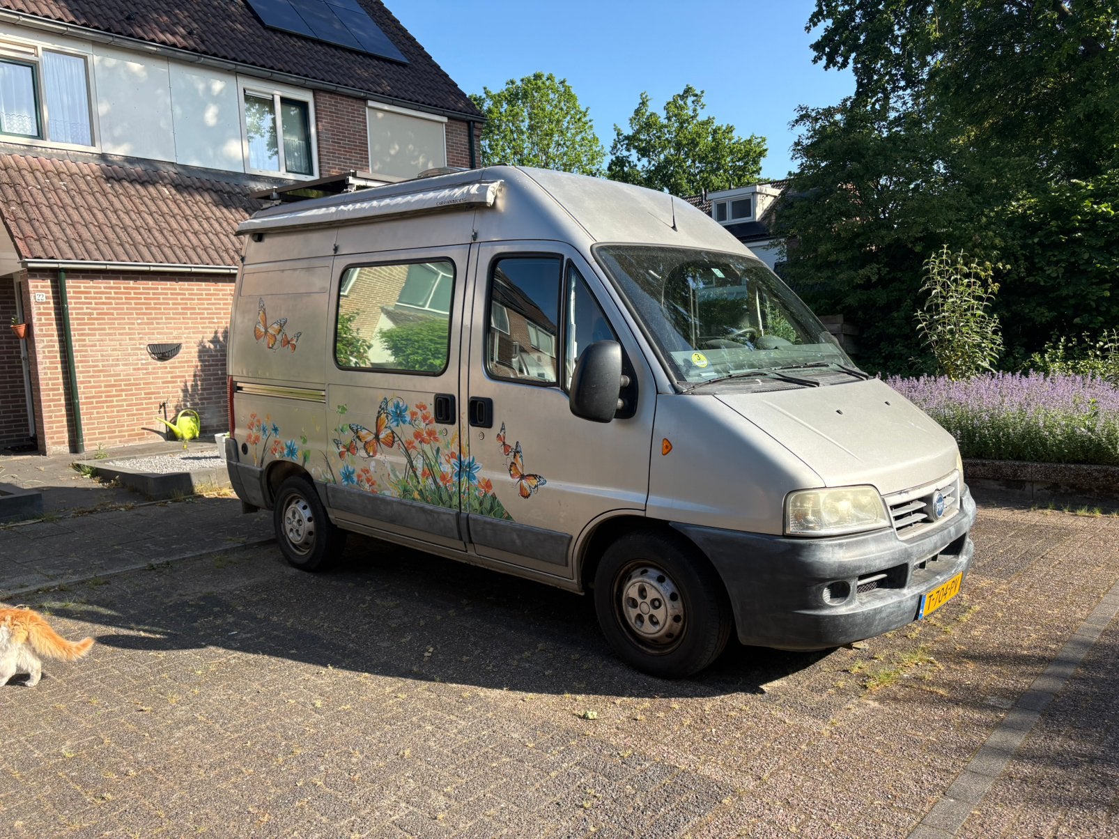 Fiat Ducato Buscamper – Nieuw Gebouwd en Off grid!, Caravans en Kamperen, Campers, Buscamper of Camperbus, Fiat, Tot en met 2