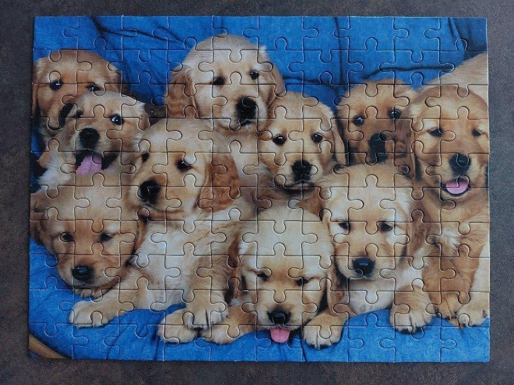 Legpuzzel Golden Retriever Puppies 100 stukjes, Ophalen of Verzenden, Minder dan 500 stukjes, Zo goed als nieuw, Legpuzzel