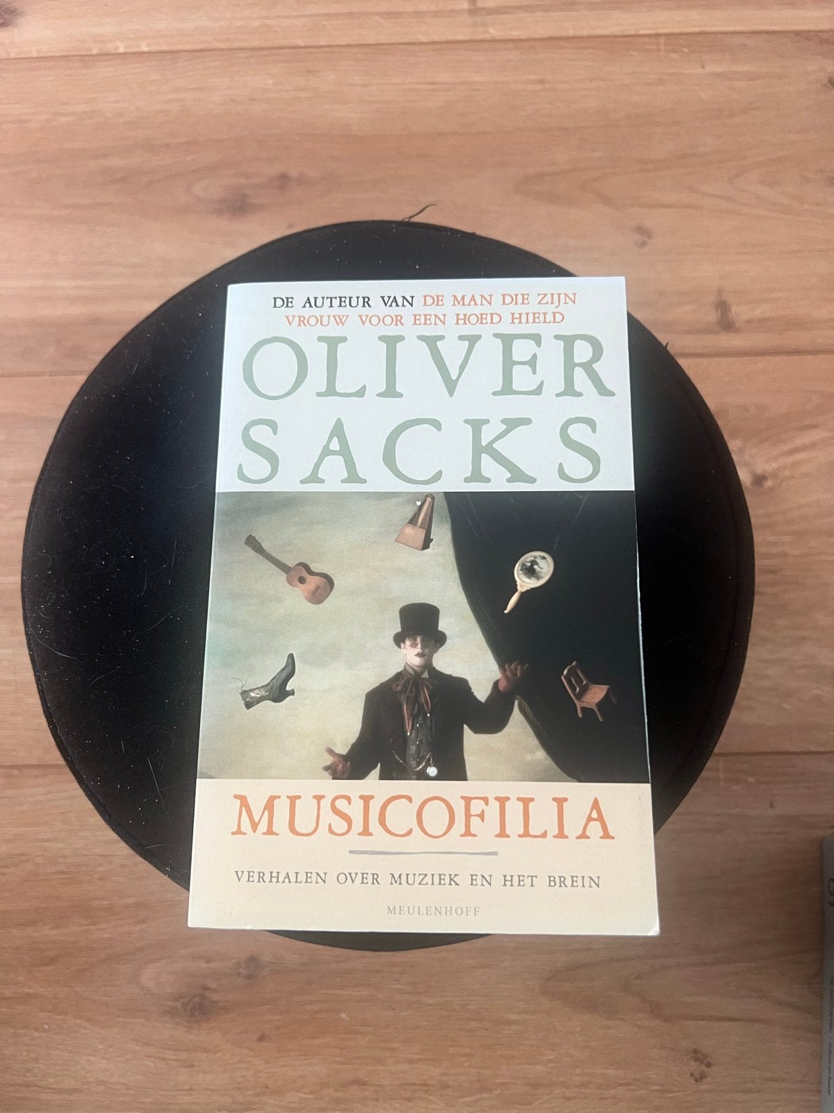 Musicofilia - Oliver Sacks (Verhalen over muziek en het brei, Boeken, Ophalen of Verzenden, Zo goed als nieuw, Overige onderwerpen