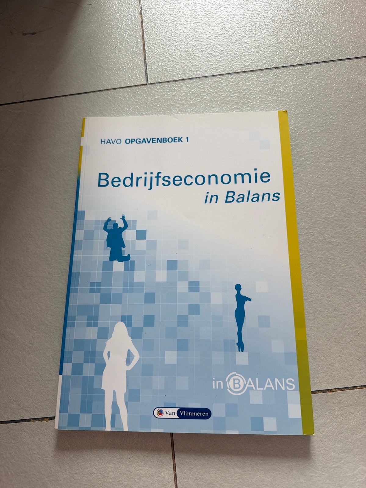 Bedrijfseconomie in Balans - HAVO Opgavenboek 1, Boeken, Ophalen of Verzenden, Gamma, Zo goed als nieuw, HBO