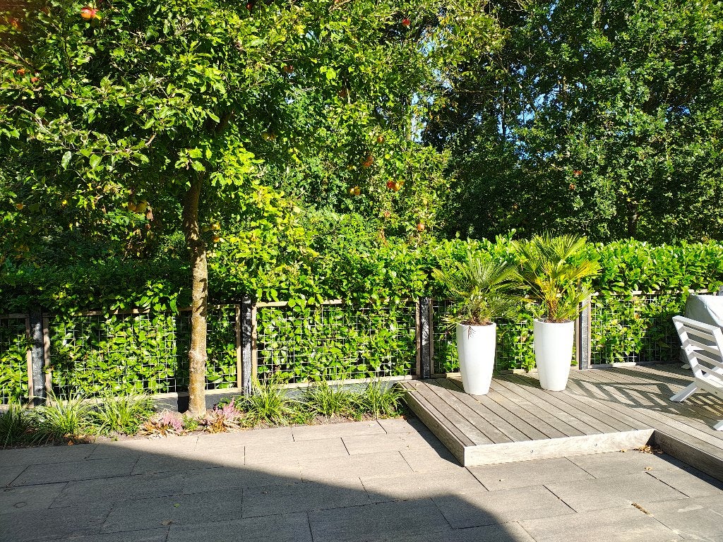 Hekwerk, Tuin en Terras, Tuinhekken en Hekwerk, Ophalen, Gebruikt, Hout, Gaashekwerk