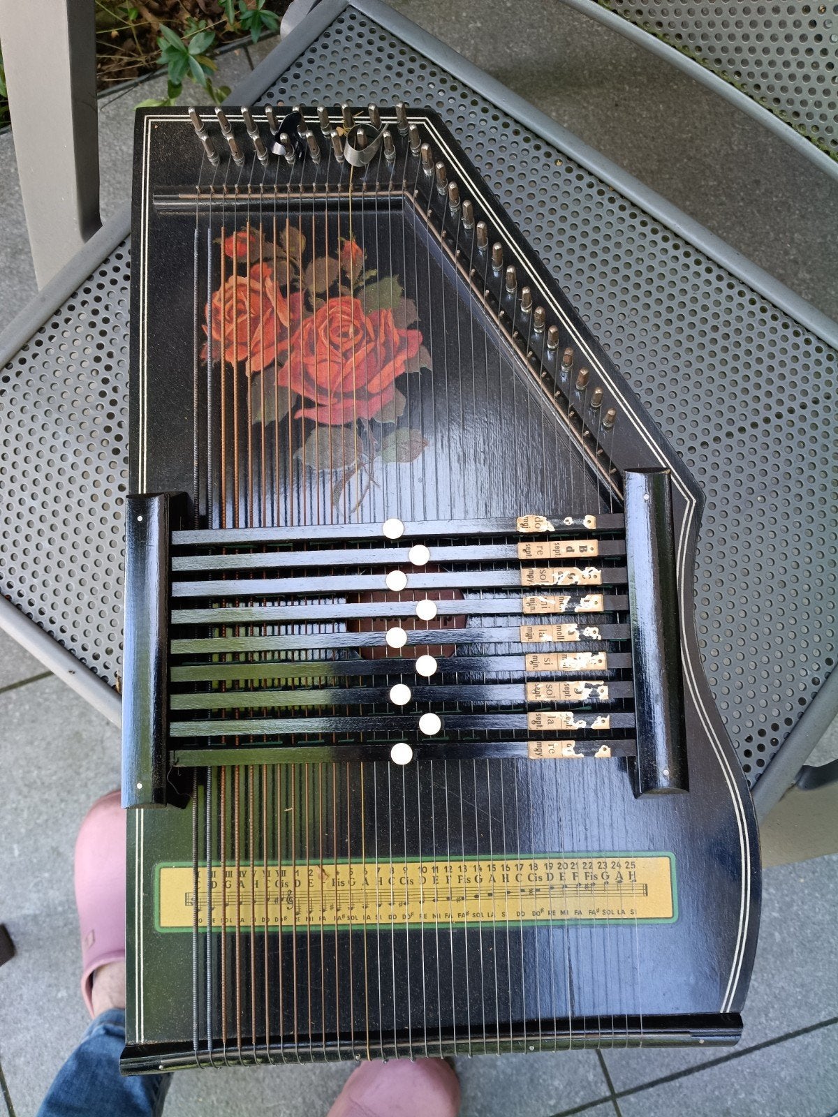 Auto Harp, Muziek en Instrumenten, Ophalen of Verzenden, Overige typen
