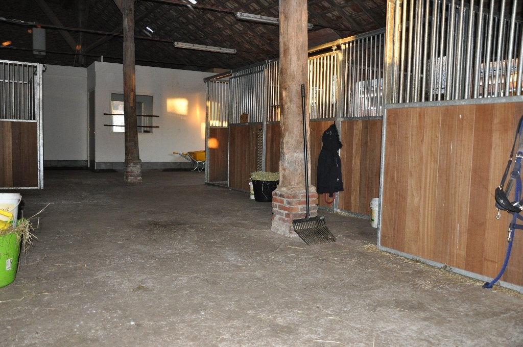 stalwanden, Dieren en Toebehoren, Stalling