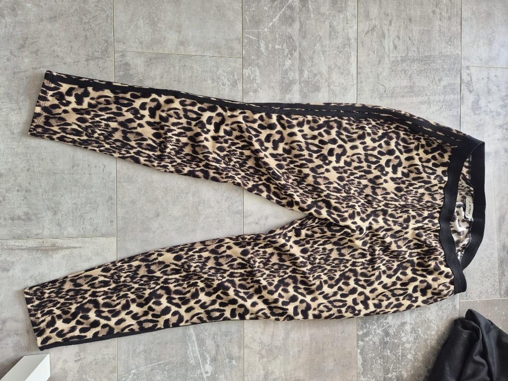 Luipaard broek xxl, Zwart, Maat 46/48 (XL) of groter, Ophalen of Verzenden, Lang
