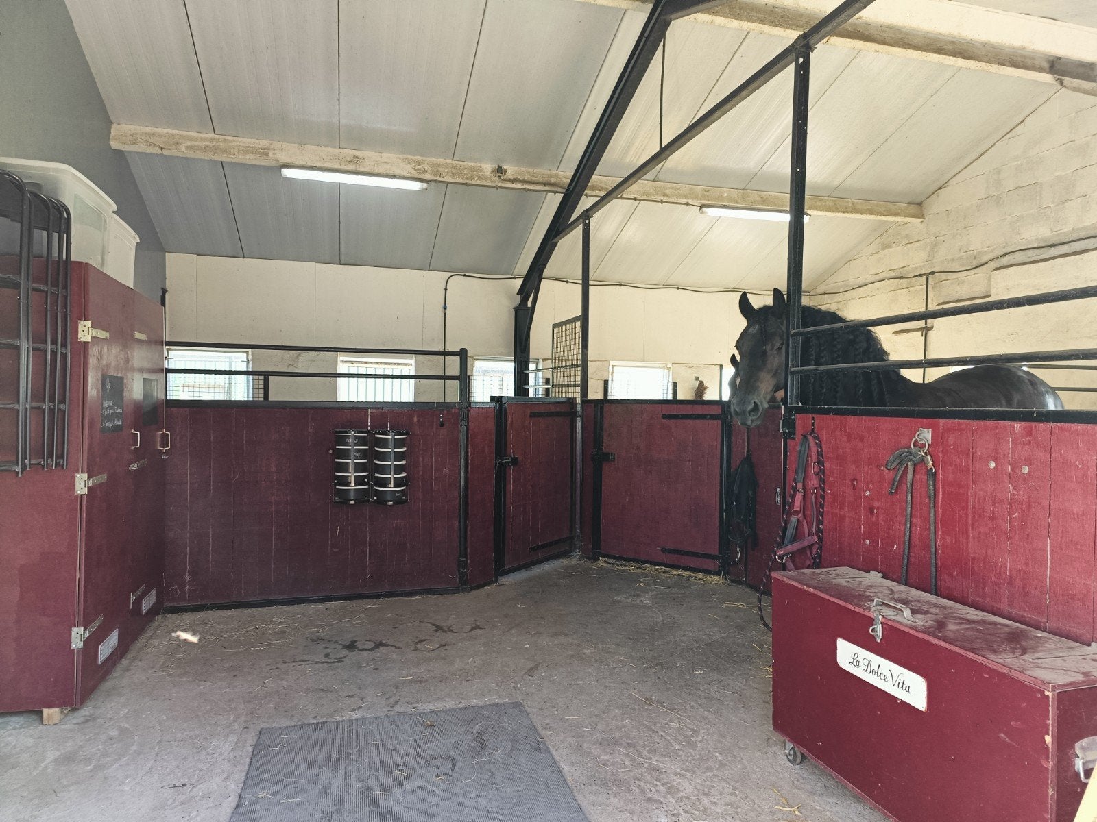 Paardenbox op privestal in Leidschendam, Weidegang
