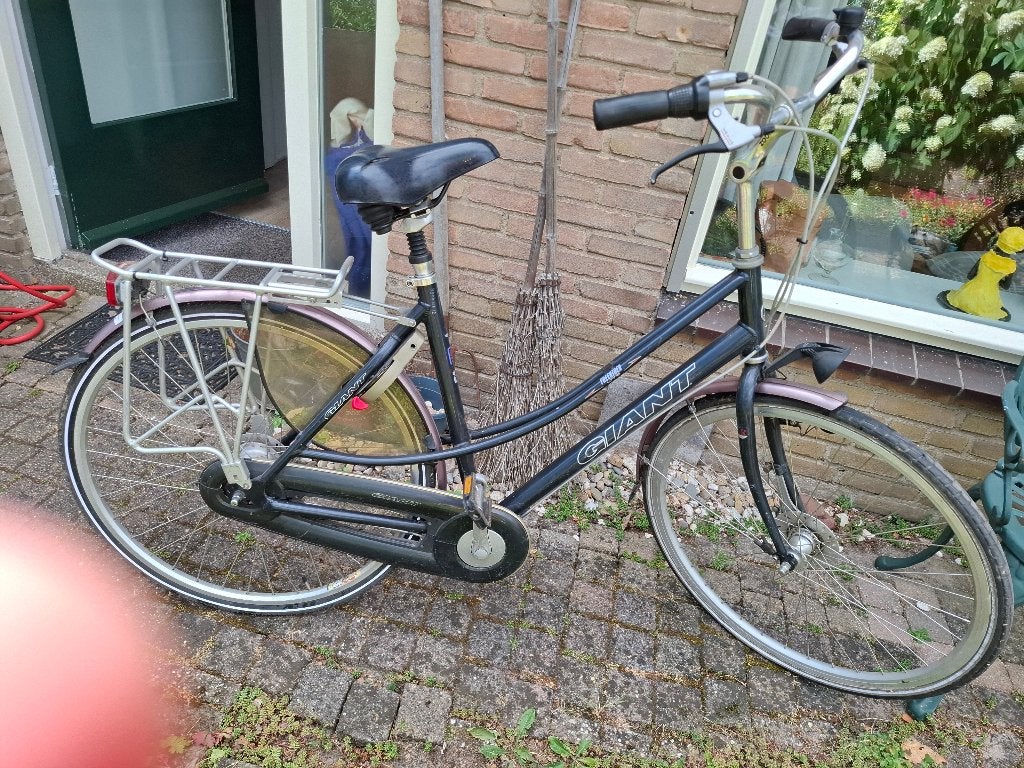 Fiets, Fietsen en Brommers, Ophalen, Gebruikt, Giant