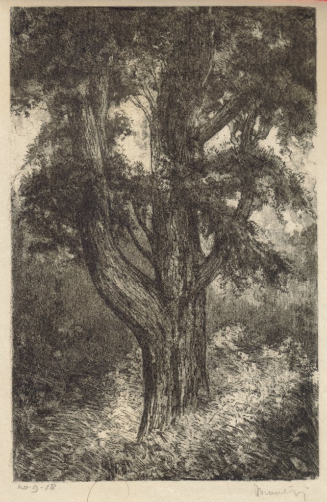 Simon Moulijn litho "Boom No 9-18", ca. 1945, Antiek en Kunst, Kunst | Litho's en Zeefdrukken, Ophalen, Origineel, Landschappen