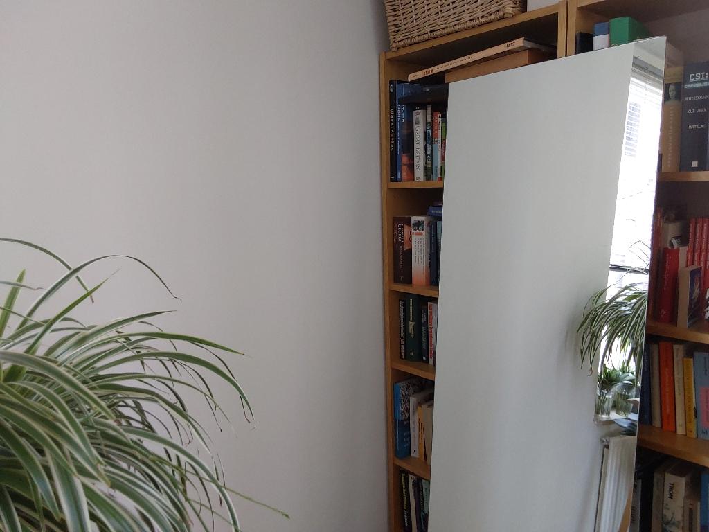 Grote spiegel, Huis en Inrichting, Woonaccessoires | Spiegels, Ophalen, Minder dan 50 cm, Gebruikt, 150 tot 200 cm