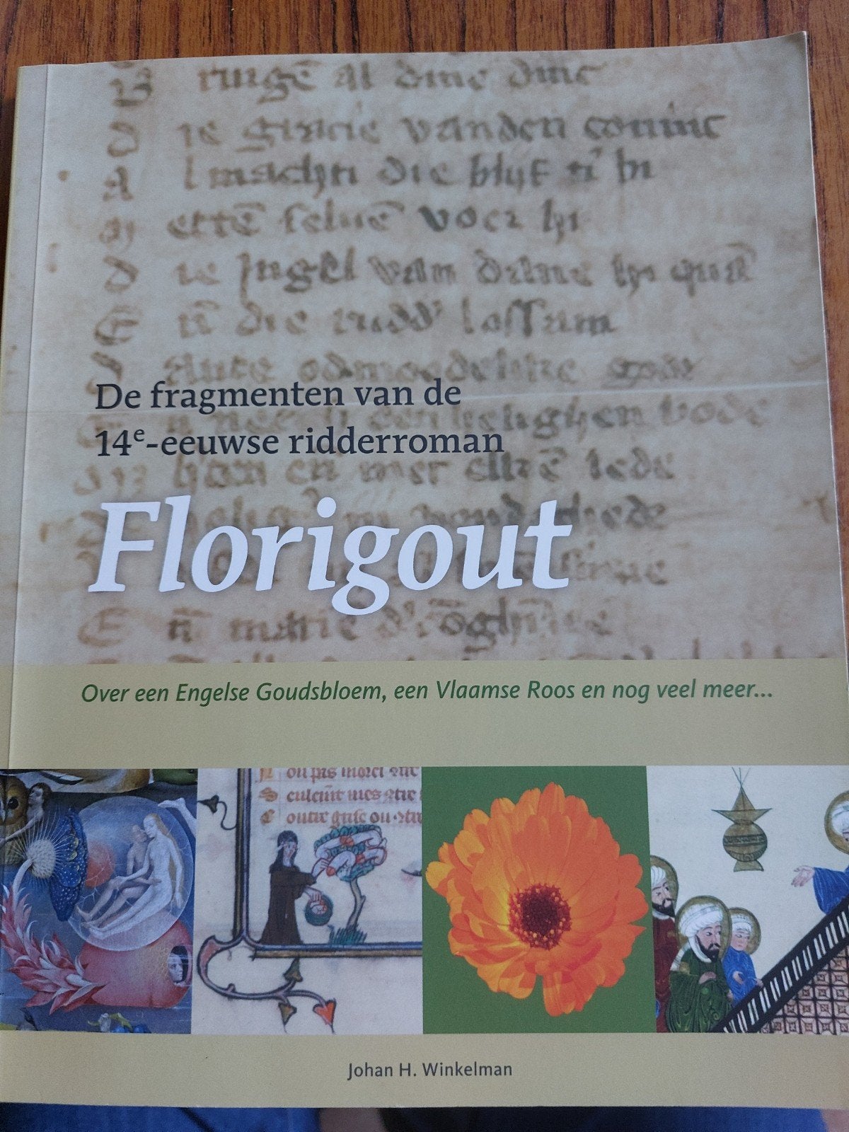 Florigout - Johan H. Winkelman, Ophalen of Verzenden, Gelezen