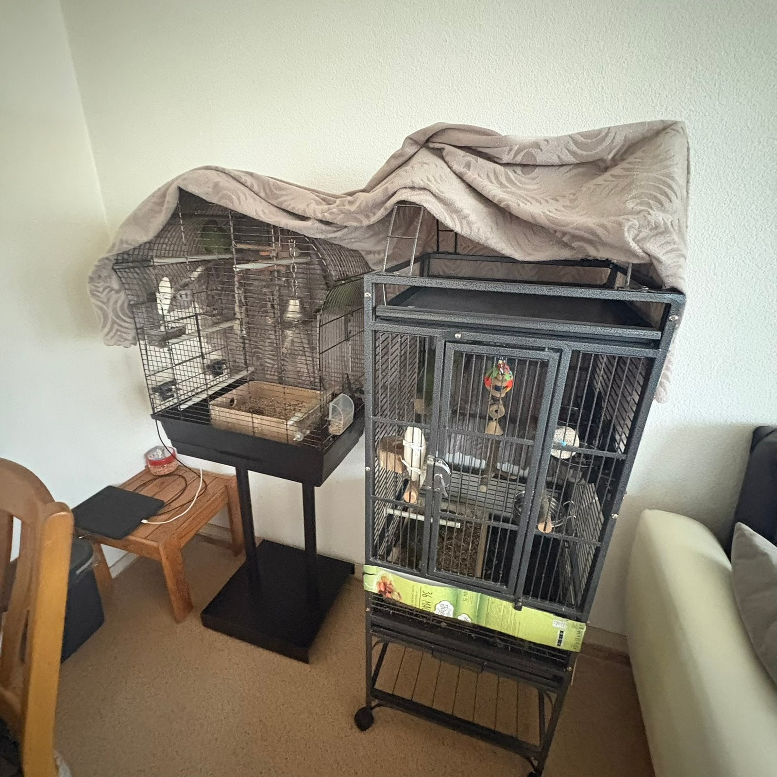 4 Kakariki’s + 2 kooien + toebehoren, Ophalen, Zo goed als nieuw, Metaal, Vogelkooi