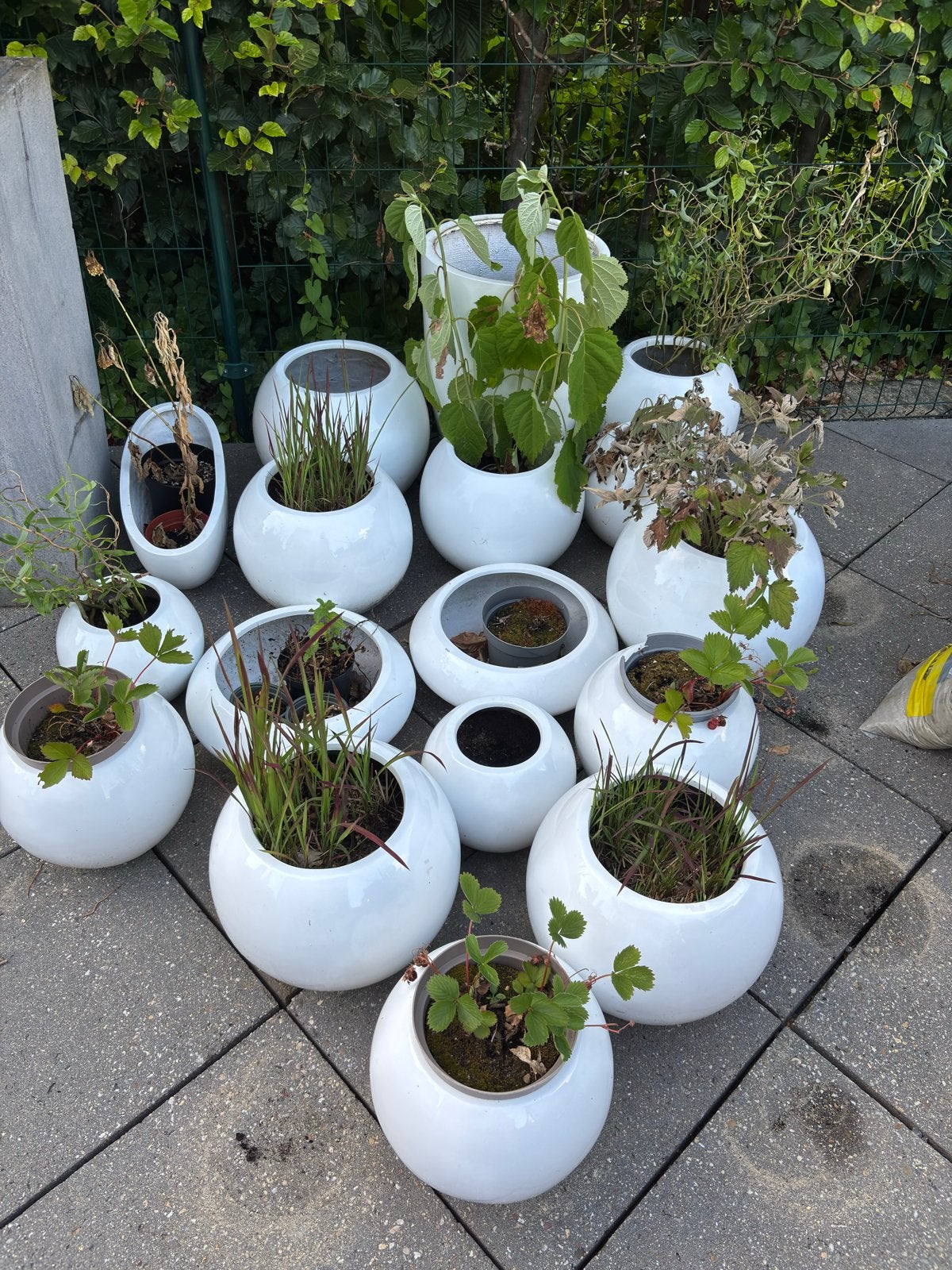 Set van 16 Witte  Bloempotten, Tuin en Terras, Bloempotten, Gebruikt, Kunststof, Binnen, Minder dan 40 cm, 25 tot 40 cm, Rond