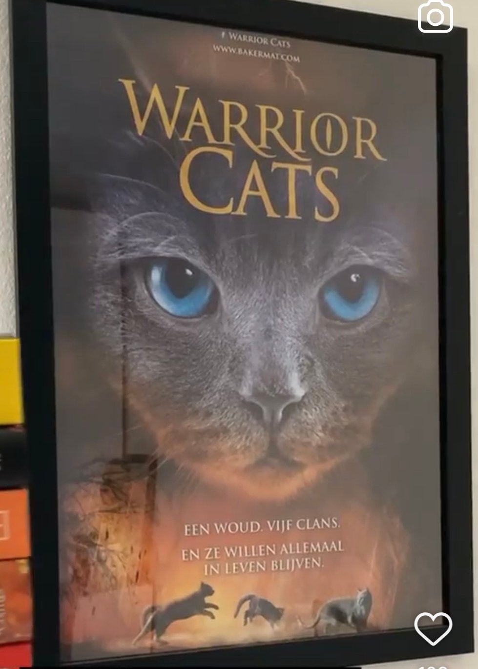 Heeft iemand deze poster? Warrior cats, Ophalen of Verzenden, Zo goed als nieuw