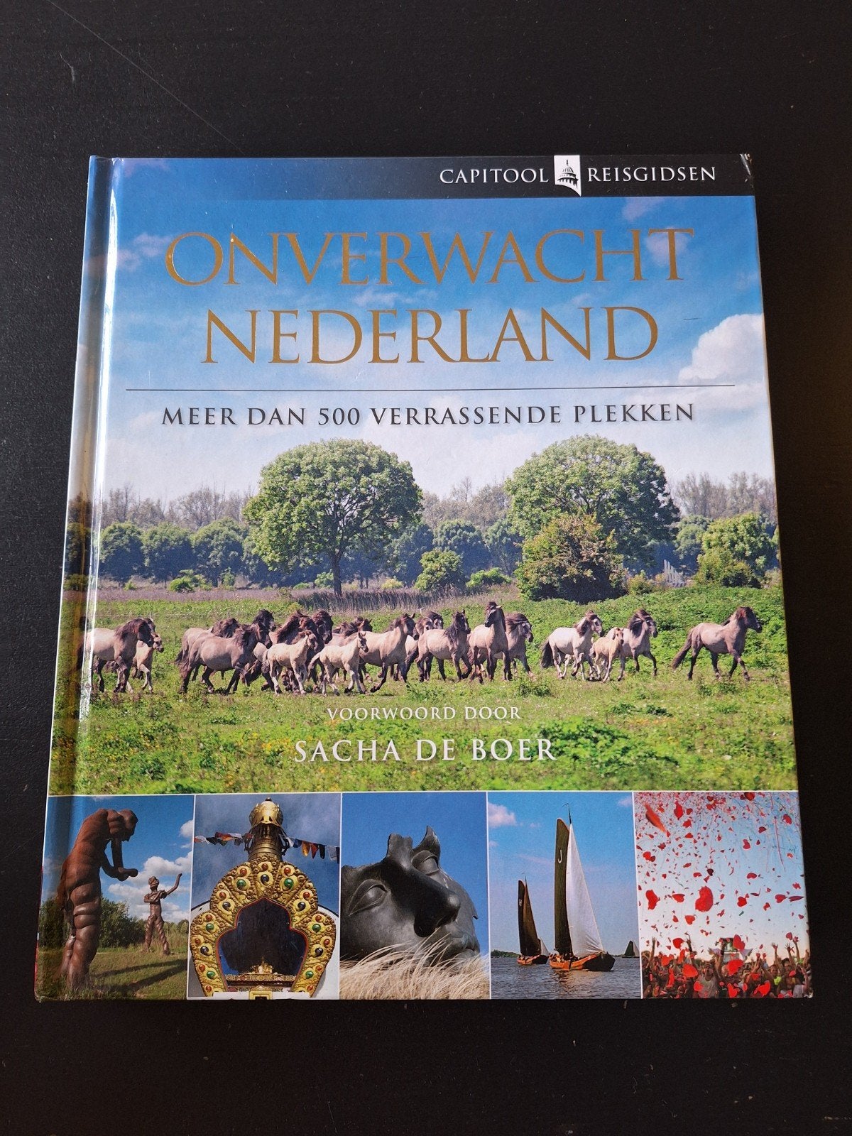Onverwacht Nederland - Capitool Reisgidsen, Capitool, Ophalen of Verzenden, Zo goed als nieuw, Reisgids of -boek