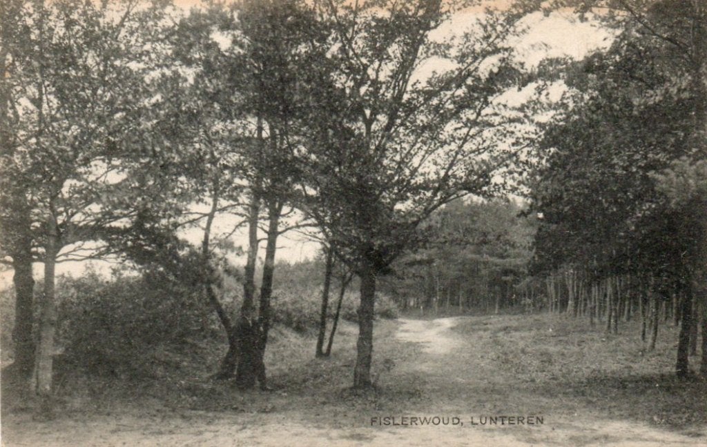 Lunteren  Fislerwoud, Ophalen of Verzenden, Voor 1920, Gelopen, Gelderland