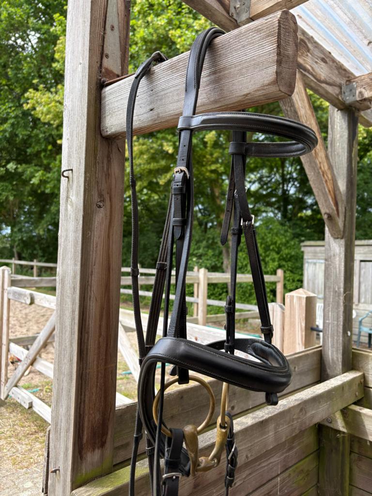 Gebruikt hoofdstel Cob/M, incl bit en springteugel, Dieren en Toebehoren, Paarden en Pony's | Hoofdstellen en Tuigage, Ophalen of Verzenden