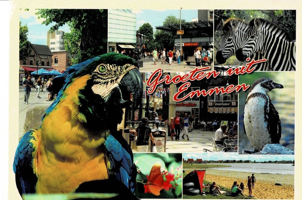 Ansichtkaart Groeten uit Emmen - Dierenpark en Centrum, Verzamelen, Ophalen of Verzenden, 1980 tot heden, Gelopen, Drenthe