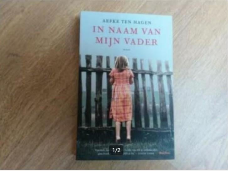 Aefke ten Hagen - In naam van mijn vader, Ophalen of Verzenden, Zo goed als nieuw