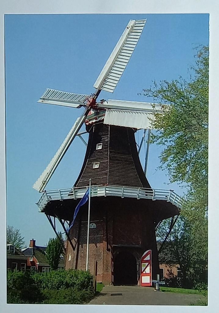 Uithuizen ( Gr. ) Koren- en Pelmolen De Liefde, Verzenden, 1980 tot heden, Ongelopen, Gebouw
