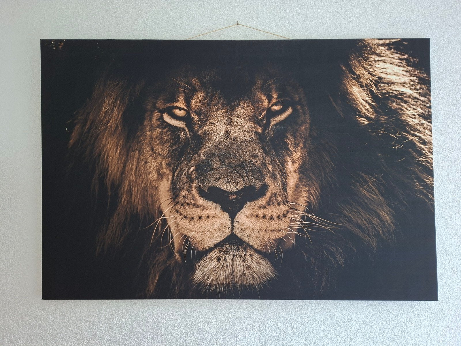 canvas leeuw 150 x 100 cm zeer goede staat, Ophalen, 125 cm of meer, Zo goed als nieuw, Foto of Poster