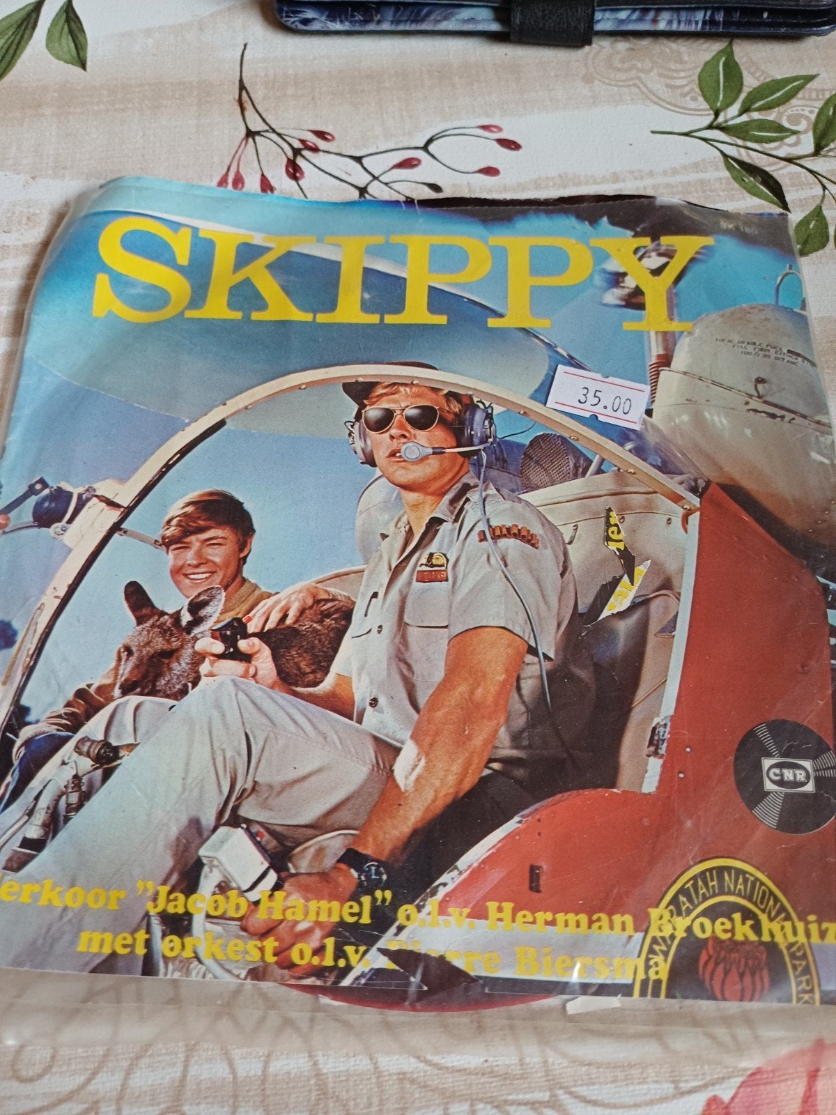 skippy, Ophalen of Verzenden, Zo goed als nieuw, Pop