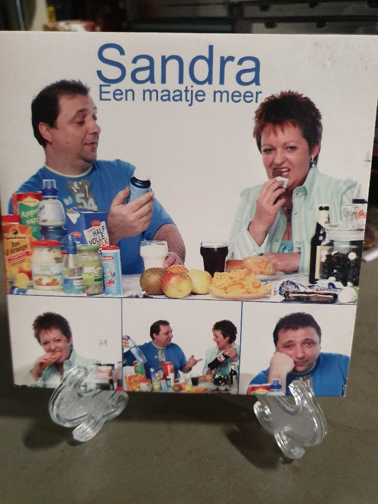 Sandra een maatje meer cd single, Ophalen of Verzenden, Zo goed als nieuw, Nederlandstalig
