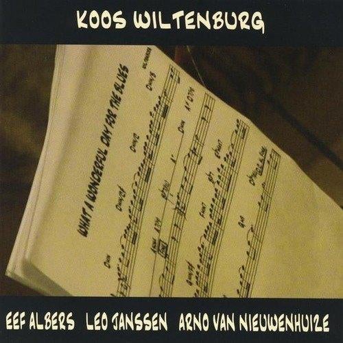 CD: Koos Wiltenburg What a wonderful day for the blues, Ophalen of Verzenden, Zo goed als nieuw, Jazz