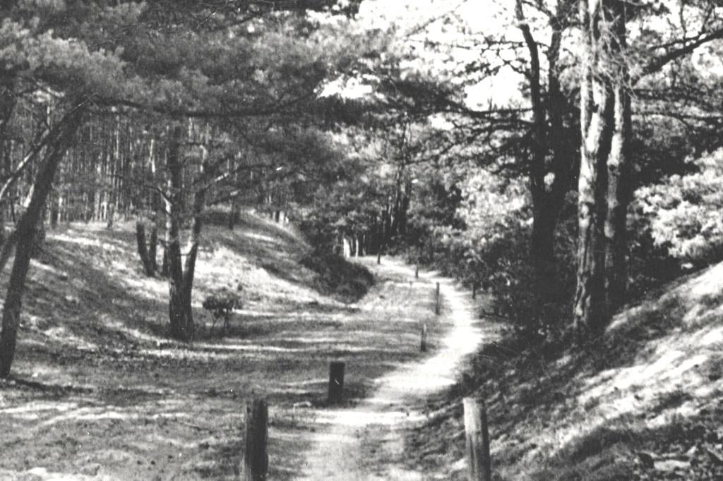 947010 Veluwe Zandweg uitg Rabbit Hill Nieuw Milligen 1959, Ophalen of Verzenden, 1940 tot 1960, Gelopen, Gelderland