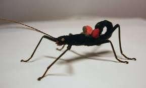Peruphasma schultei wandelende takken psg 270 te koop !, Dieren en Toebehoren, Insecten en Spinnen, Bijen
