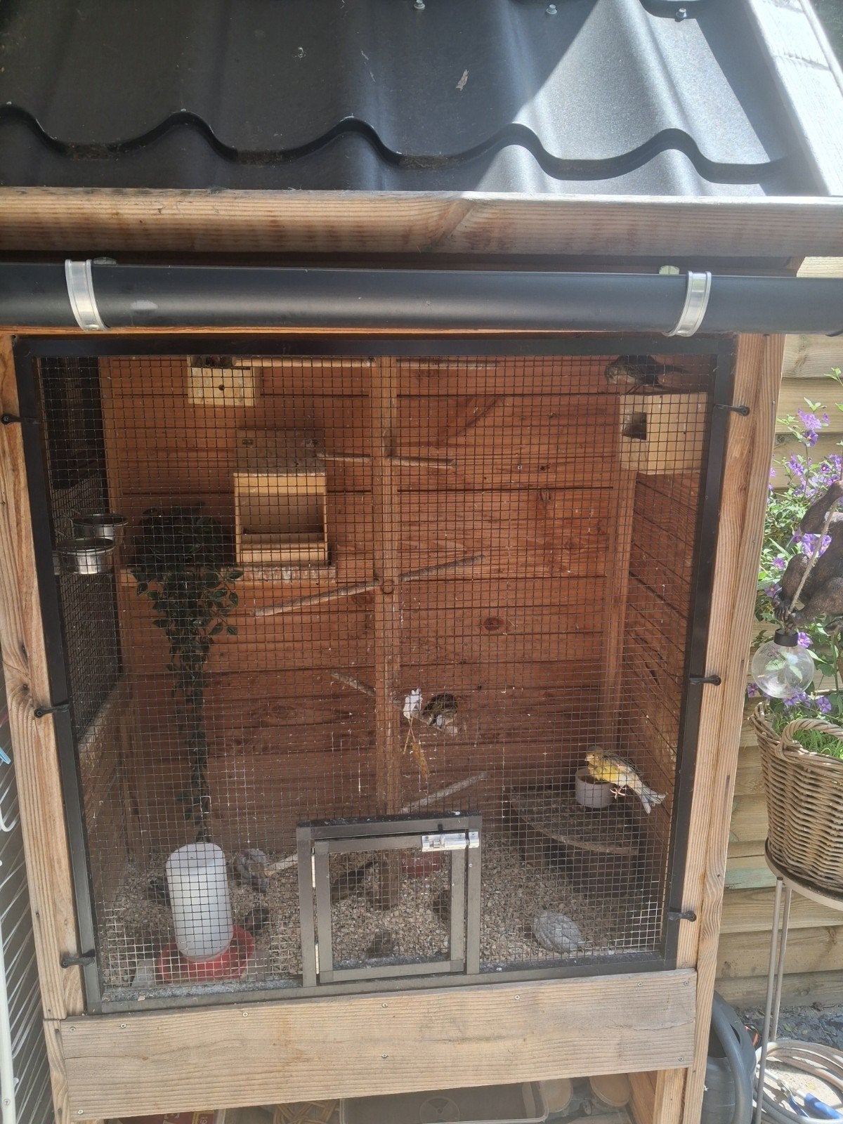 Te koop mooie voilere, Ophalen of Verzenden, Hout, Volière
