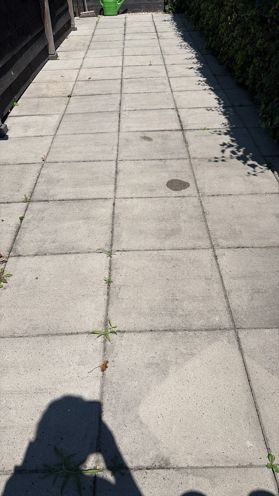 Gratis terrastegels 50x50 - 84 hele en 27 halve, Tuin en Terras, Ophalen, Gebruikt, 10 m² of meer, Beton