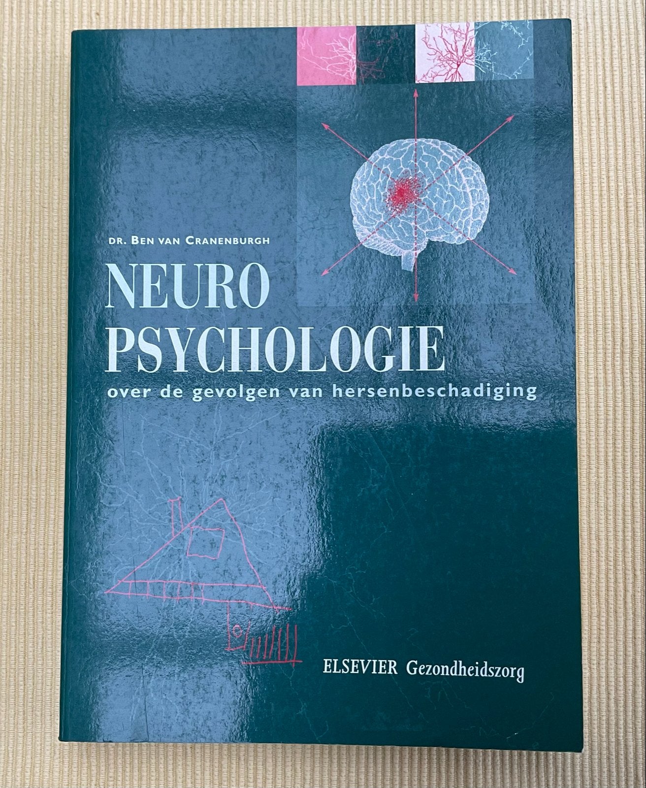 Neuropsychologie: Gevolgen van hersenbeschadiging, Boeken, Ophalen of Verzenden, Gelezen, Functieleer of Neuropsychologie