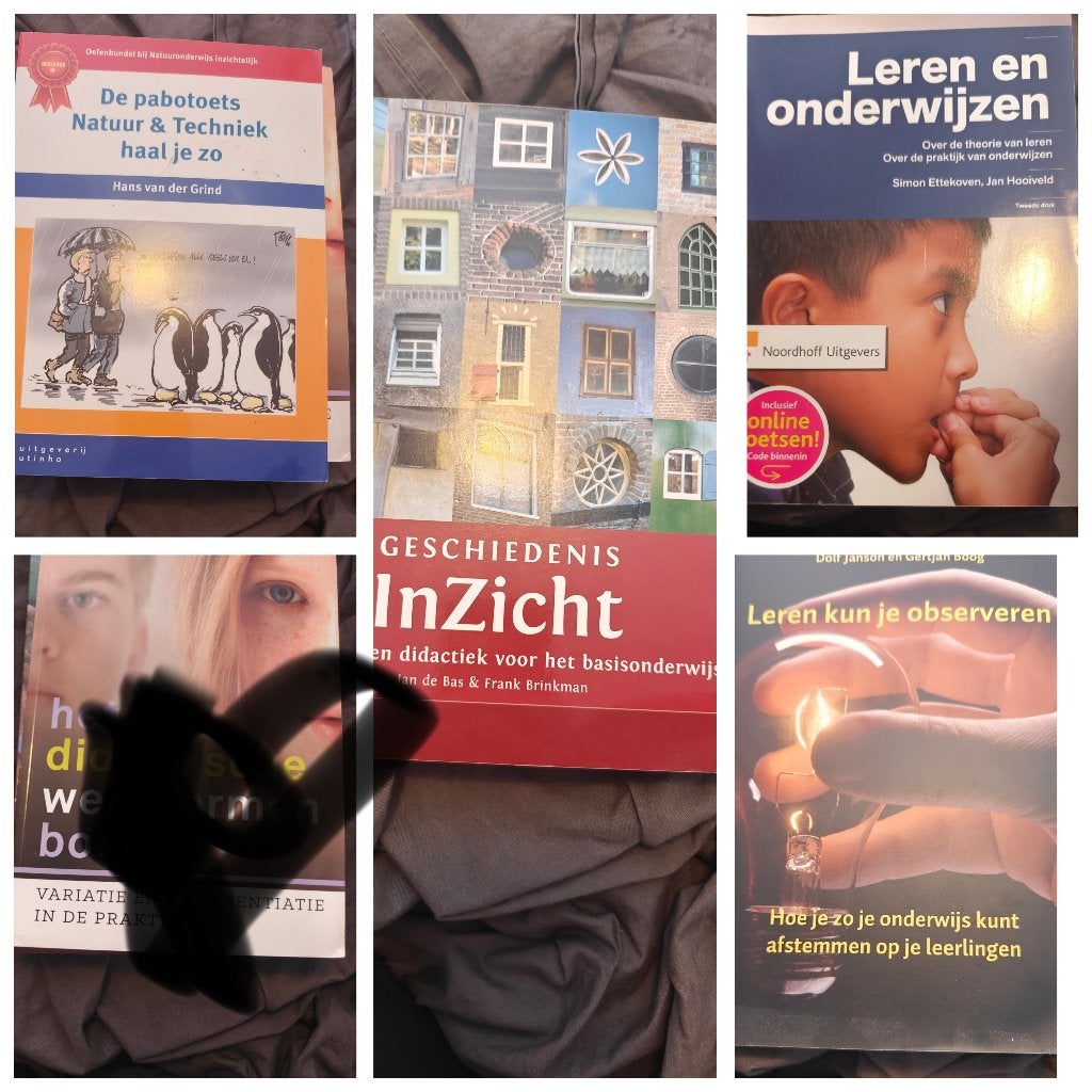 Pabo boeken, Ophalen of Verzenden, Alpha, Zo goed als nieuw, HBO