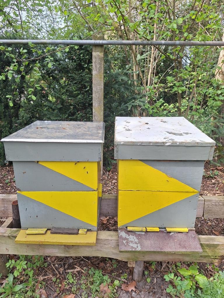 Bijenkasten.Leeg. Gebruikt.10 , 5 ,7 raams., Bijen
