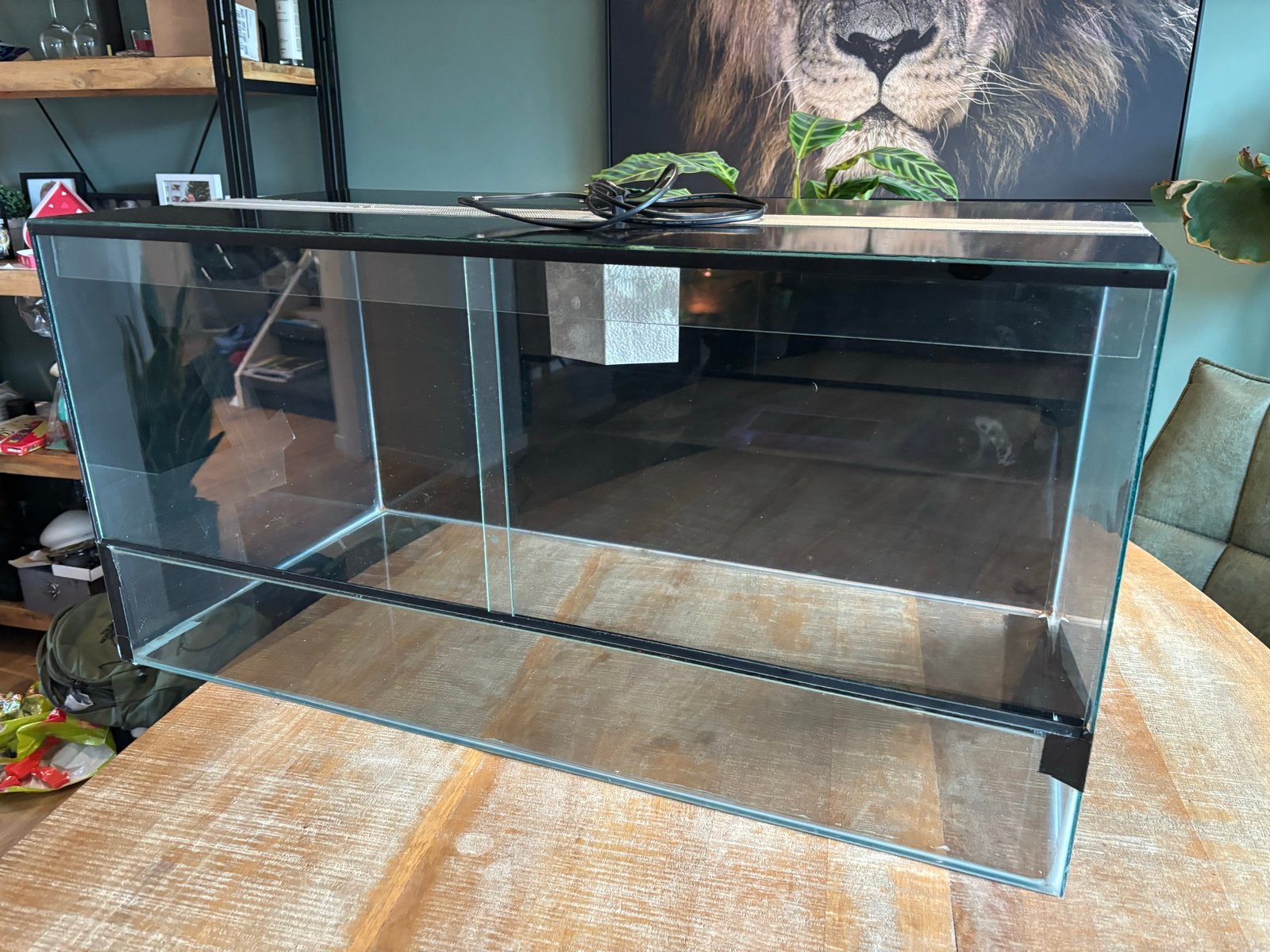Terrarium 120x50x50, Ophalen
