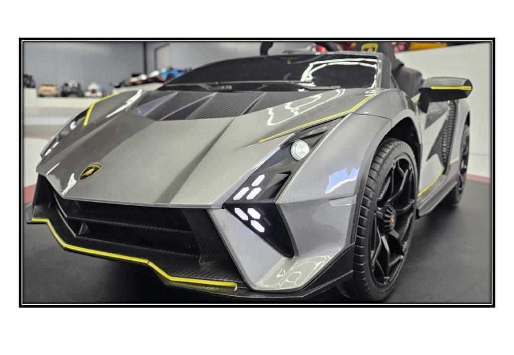 Collectie elektrische kinder Lamborghini accu auto 12 en 24v
