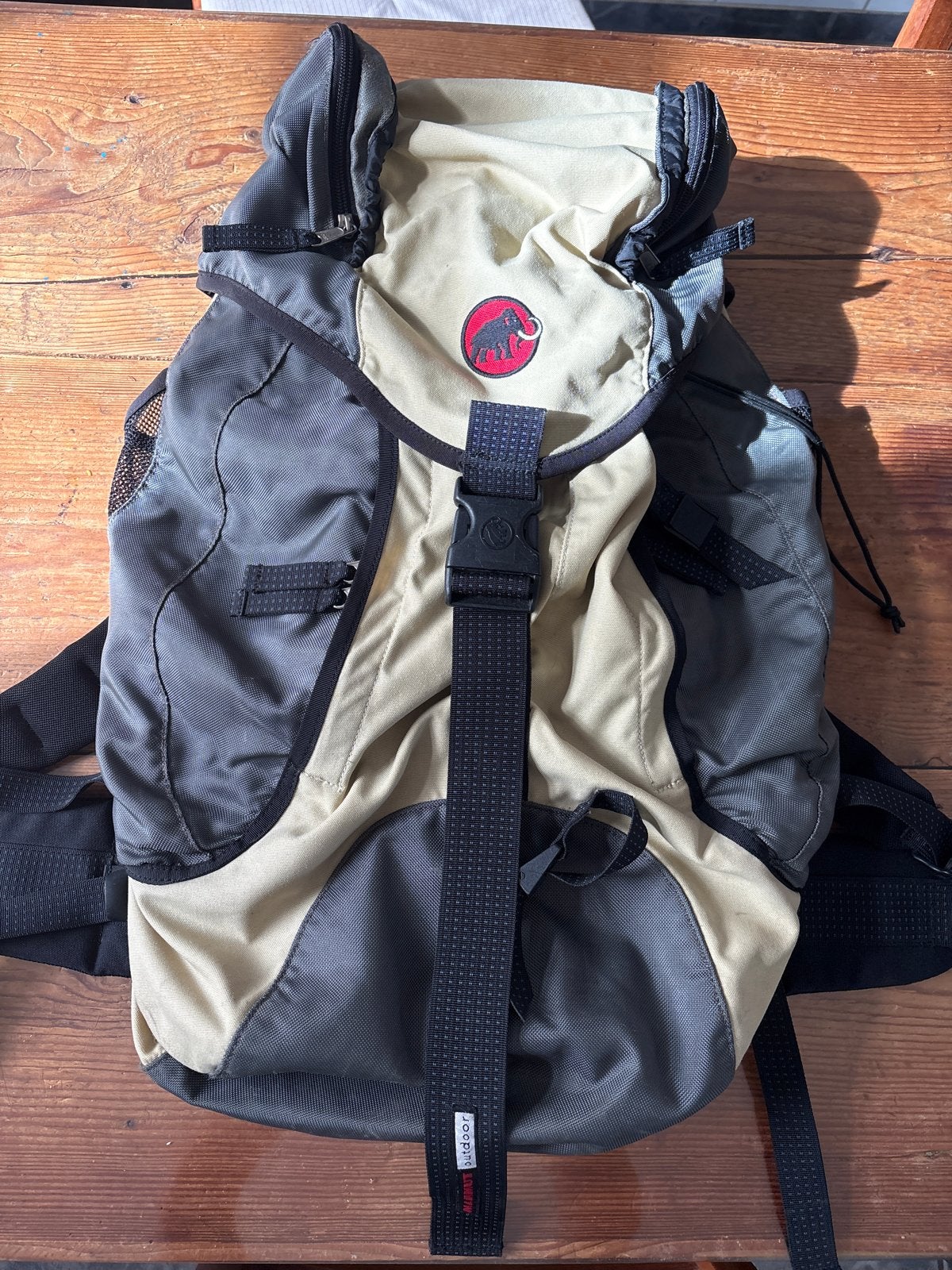 Mammut Rugzak - ca. 20 Liter - Ideaal voor Dagtochten, Gebruikt, 25 tot 40 cm, Ophalen of Verzenden, Trekking