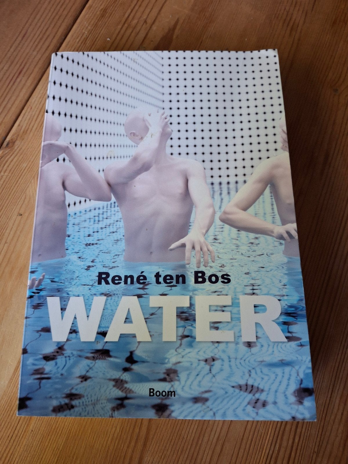 René ten Bos - Water, Ophalen of Verzenden, Gelezen, René ten Bos