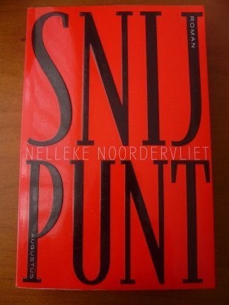 Snijpunt - Nelleke Noordervliet, Verzenden, Gelezen, Nederland