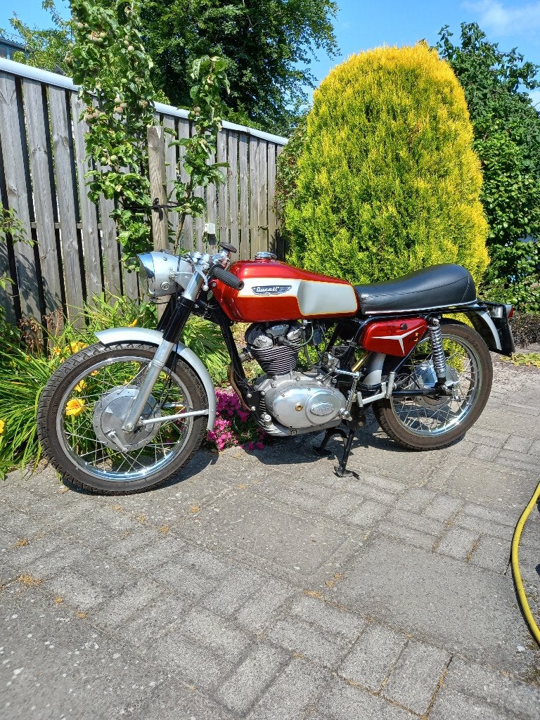 Ducati 250 Mark 3 / Aermacchi Ala Verda, Motoren, Motoren | Oldtimers