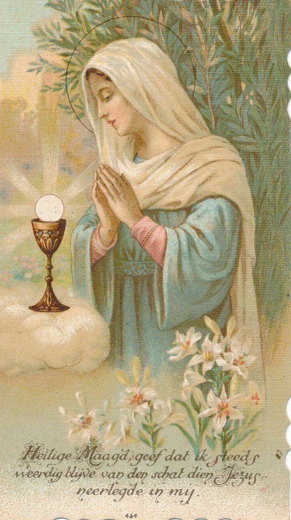 Mooie Maria devotieprent, Ophalen of Verzenden, Zo goed als nieuw, Kaart of Prent, Christendom | Katholiek