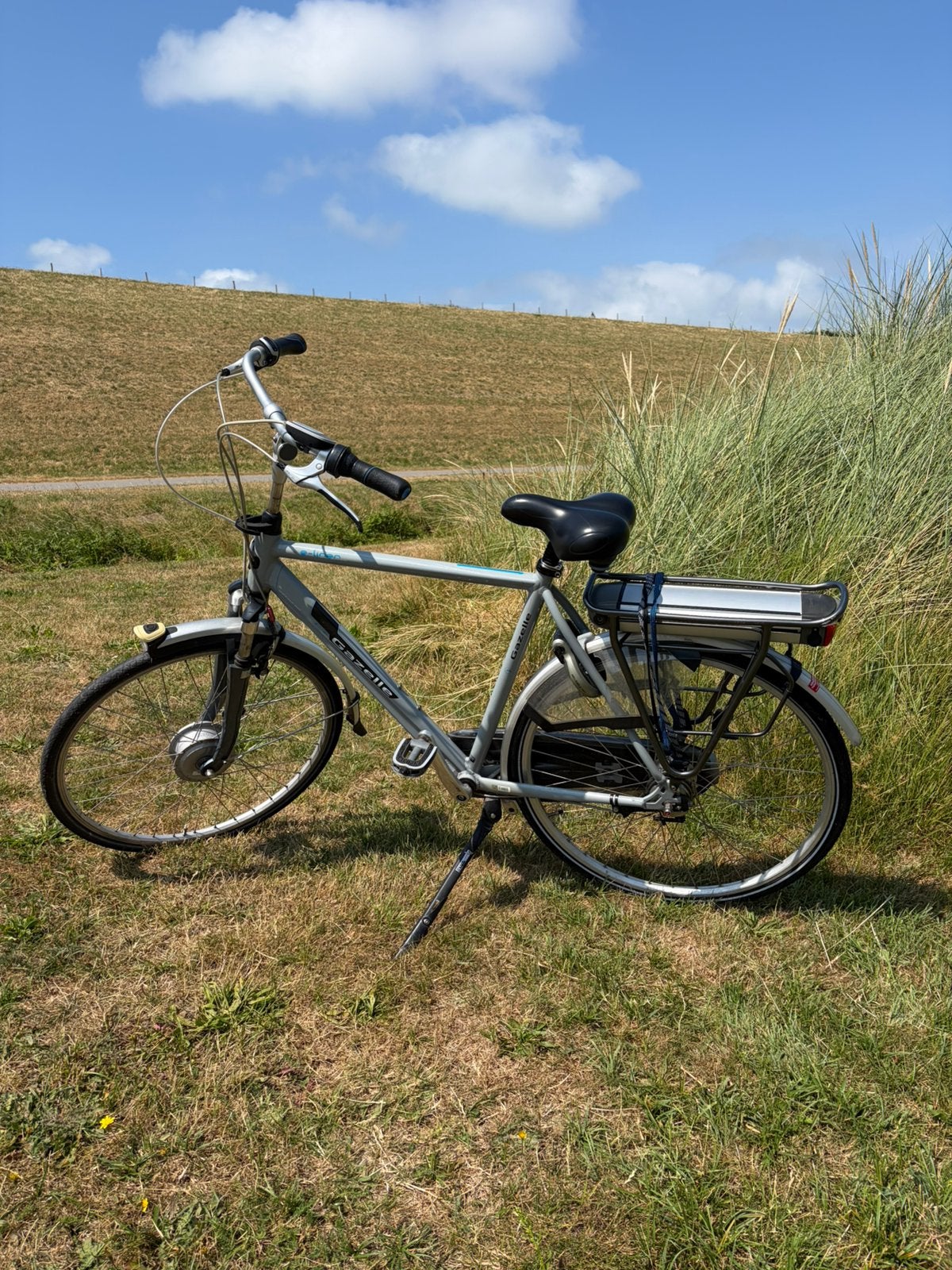 Gazelle E-line elektrische fiets – 5.949 km, originele lader, Ophalen, Minder dan 30 km per accu, Gebruikt, 55 tot 59 cm