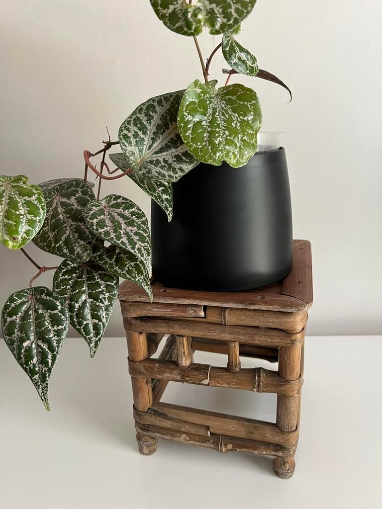 Vintage Zeer Oud Rotan Bamboe Bijzet- Plantentafeltje, Ophalen of Verzenden, Gebruikt, Hout