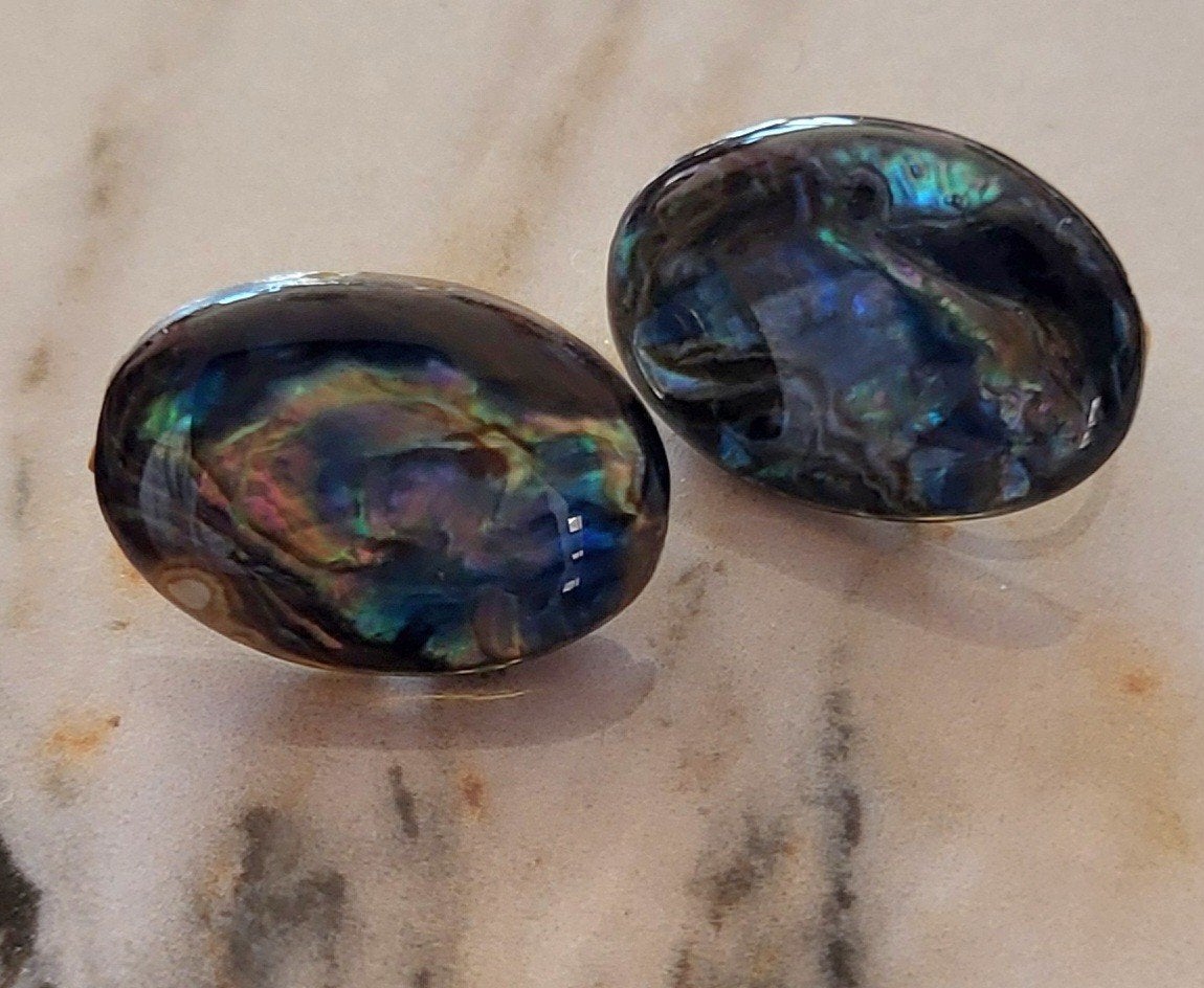 Oorbellen Paua Schelp - Vintage Clip-on, Overige materialen, Gebruikt, Overige kleuren, Ophalen of Verzenden