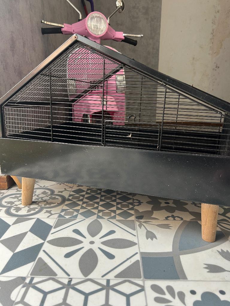Beeztees knaagdieren kooi, Dieren en Toebehoren, Knaagdieren en Konijnen | Hokken en Kooien, Ophalen, Kooi, Minder dan 60 cm