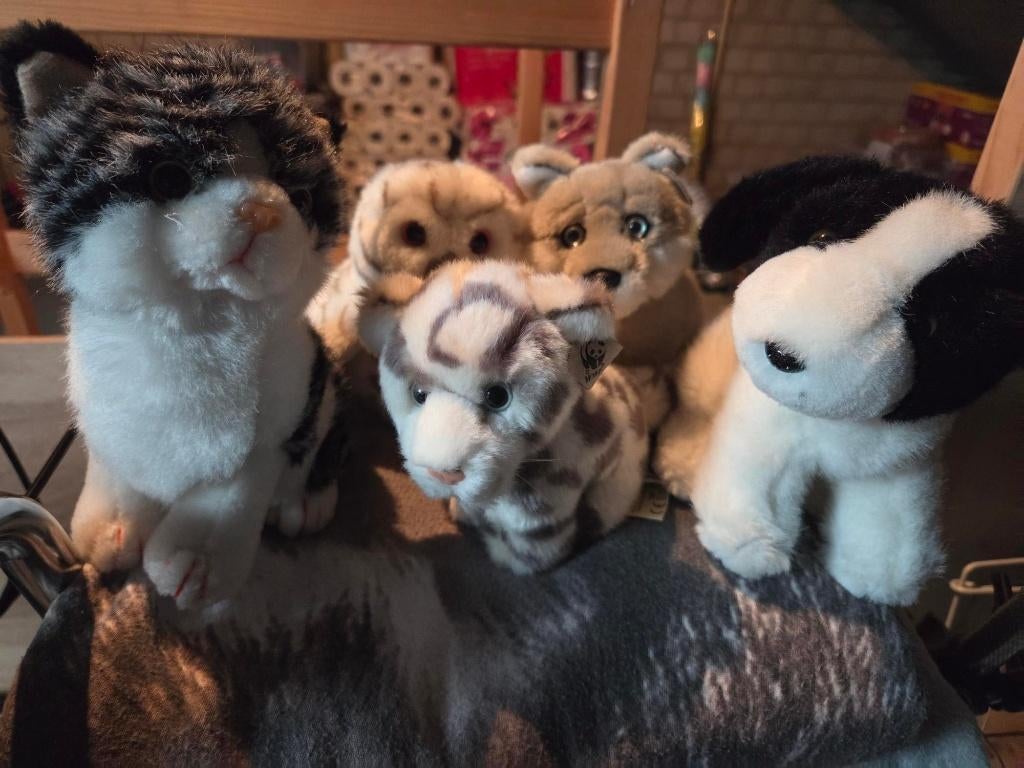 knuffels van het WNF fonds en apenheul, Ophalen of Verzenden, Zo goed als nieuw, Overige typen